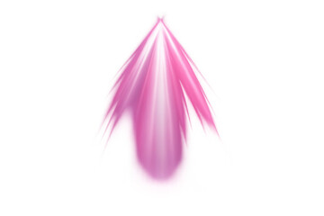 Pink glowing light rays creating an abstract beam effect, shimmering with dynamic motion and transparent background