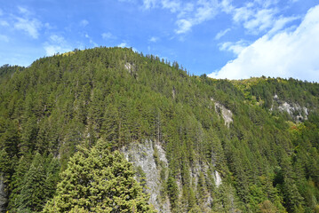 mountain landscape with blue sky in sunny autumn day