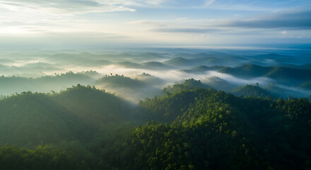 Fototapeta premium Aerial view of tropical rainforest hills shrouded in morning mist and sunlight, Thailand