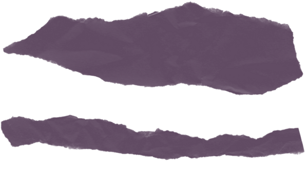 Two torn pieces of purple paper with rough edges isolated on transparent background