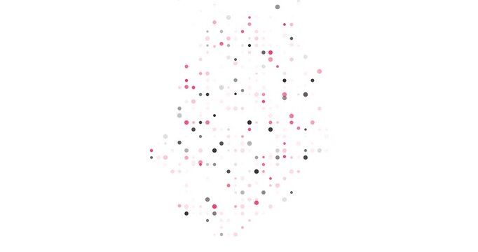 Data Points Visualizing the Niue Island National Outline