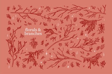 Hand drawn sketch elegant delicate spruce winter Christmas branches