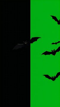 Flying Bats Silhouette Motion Graphic Footage in Black Green Split Screen