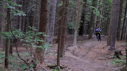Action shot of a mountain biker airborne during a jump in a forest downhill track. Dynamic, energetic and filled with adrenaline.
