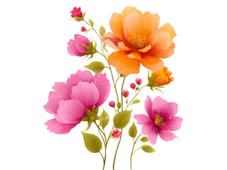 Fototapeta premium Vibrant pink and orange floral arrangement flowers bloom, Isolated, Png Transparent Background