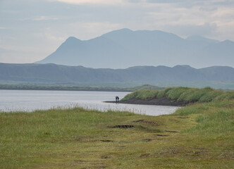 island, shore and rocks on the seashore in iceland