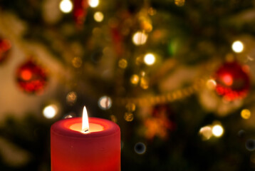 Kerze mit Weihnachtsbaum im Hintergrund