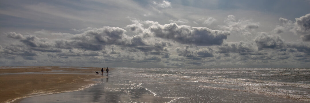 Scenic wide panorama of beach with distant couple walking dog under dramatic cloudy sky with copy space - Powered by Adobe