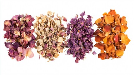 Elegant dried flowers on white surface