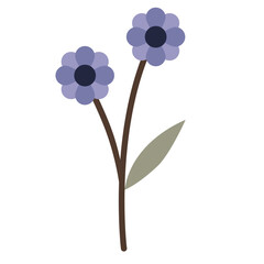 Illustration Plant Flower