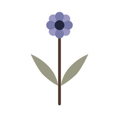 Illustration Plant Flower