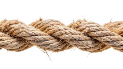 Close up macro shot of thick frayed natural fiber rope, twisted together, cutout, PNG, isolated on white or transparent background, AI