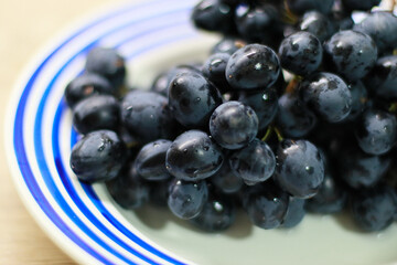 Close-up of fresh black grapes on a white plate with blue stripes. High-quality macro shot showcasing juicy berries, perfect for concepts of healthy eating, organic fruit, vegan diet, and natural food