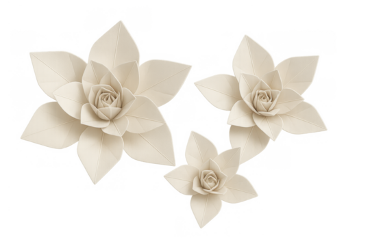 Paper succulent flowers isolated on transparent background, handmade origami dessert rose decoration for events and crafts - Powered by Adobe