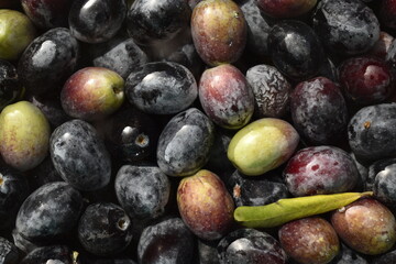 Close up fresh black olives in brine