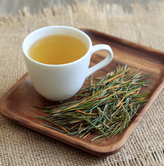 boiling pine needle tea in glass teapot, steam rising, golden-green herbal liquid.