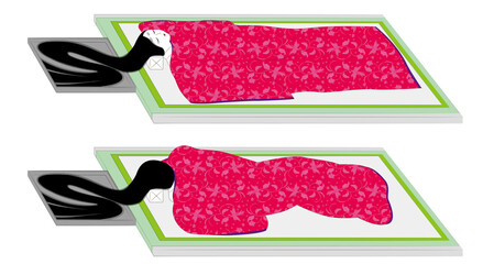 平安時代風の若い女性が寝床で物思いにふけり眠るイラスト