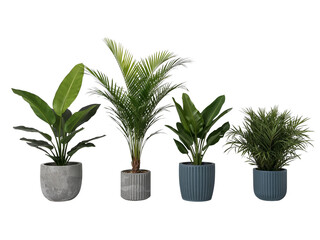 Fototapeta premium Four tropical potted houseplants isolated for interior design elements.