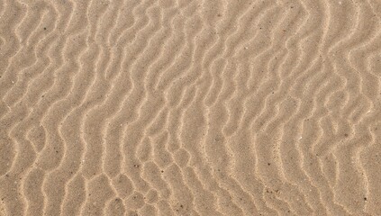 Ocean sand on a typical day, erosion risk