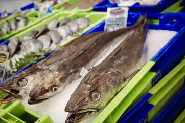 Fish on ice in supermarket in France