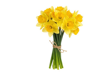Isolated Bunch of Daffodils, Bouquet of Fresh Yellow Spring Flowers, Floral Holiday Gift