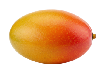 Isolated whole ripe mango fruit with smooth skin in warm yellow, orange, and red tones