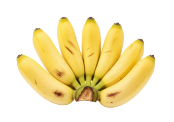 Isolated cluster of ripening yellow bananas with some spotting for a healthy snack time