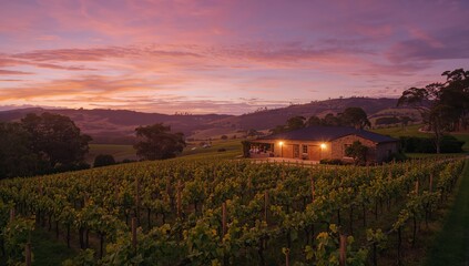 Fototapeta premium Sunrise illuminating a vineyard, showcasing the beauty of the landscape, seasonal change