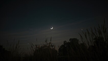 Two lunar phases illuminated in the night sky over a natural landscape, highlighting seasonal change