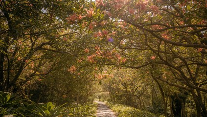 A stroll beneath the Plumeria trees, reflecting on serenity and nature's beauty