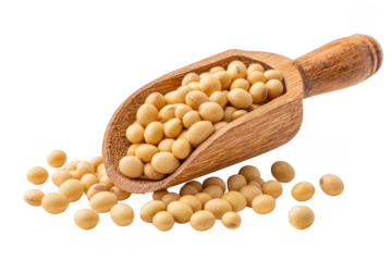Soybean in wooden scoop