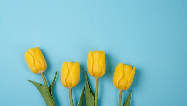 A vibrant spring greeting card showcasing three bright yellow tulips against a calm blue background, ideal for seasonal celebrations