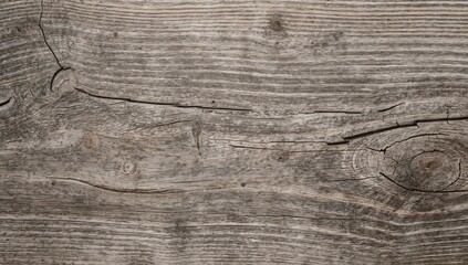 Wooden surface, ideal for layout design, seasonal change