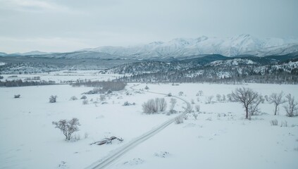 Extensive snow-covered landscape