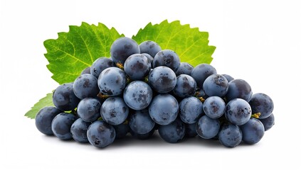 Fototapeta premium Cluster of blue grapes with leaves on a white background, suitable for packaging design