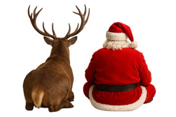 Reindeer and Santa side by side. Holiday magic.