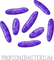 Propionibacterium bacteria illustration showing microscopic organisms