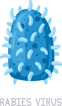 Rabies virus diagram showing infectious microscopic pathogen