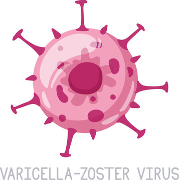 Varicella Zoster virus infecting cells and causing illness