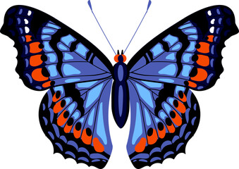 Colorful butterfly illustration with patterned blue and orange wings