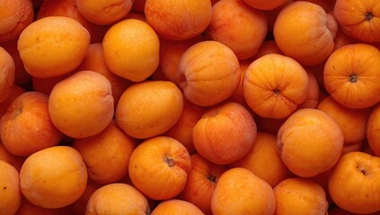Ripe apricots in focus, ideal for vibrant editorial backdrop