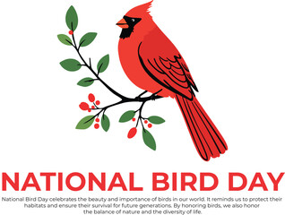 Vector Illustration of Red Cardinal Bird on Branch with Leaves and Berries for Nature and Wildlife Themes National Bird Day