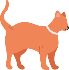 Ginger cat standing wearing collar illustration