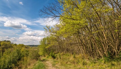 Obraz premium Sky filled with clouds, seasonal change