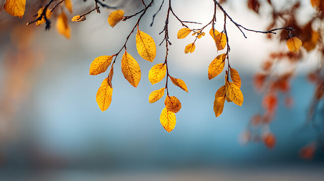 Golden autumn leaves hanging from branches against a soft blue background fall yellow - Powered by Adobe