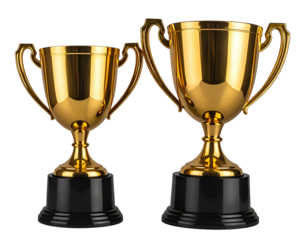 Two golden trophies, one larger than the other