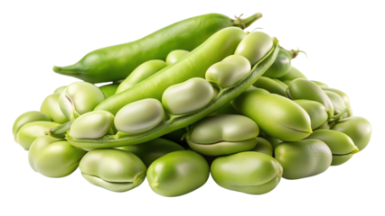 Freshly harvested broad beans in pods and shelled isolated on transparent background
