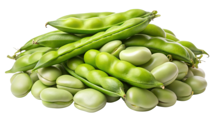 Freshly harvested broad beans in pods and shelled isolated on transparent background