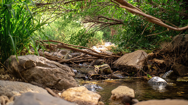 obstacles. A partially blocked stream with water flowing around branches and rocks. ESG reports, sustainability campaigns, designed for environmental awareness campaigns, used by product managers.
