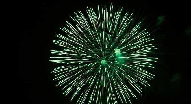 Vibrant nighttime green fireworks burst against dark sky